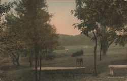 Fair Green No.7 From Tee No.7, The Glen Springs Postcard