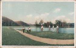 A Natural Hazard on the Greenbriar Golf Course Postcard