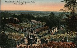 Rhododendron Valley, Highland Park Rochester, NY Postcard Postcard Postcard