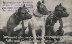 Ad for Corn and Bunion Remedy. Three dogs. Postcard