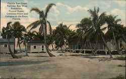 Florida East Coast Railway, Key West Extension, Typical Scene, Cocoanut Grove and Cottages on the Keys Postcard Postcard Postcard