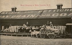 Wool Shipping Belle Fourche, SD Postcard Postcard Postcard