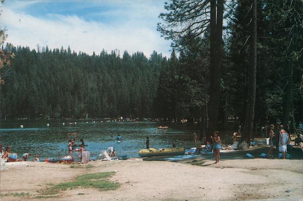 Pinecrest Lake California Postcard