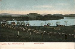 Wolfeboro Bay New Hampshire Postcard Postcard Postcard