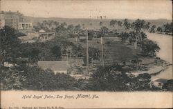 Hotel Royal Palm, Sea Front Miami, FL Postcard Postcard Postcard