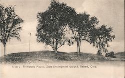 Prehistoric Mound, State Encampment Ground Newark, OH Postcard Postcard Postcard