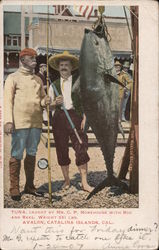 Tuna Caught by Mr. C.P. Morehouse with Rod and Reel Weight 251 Lb Postcard