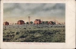 University of New Mexico Postcard