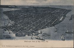 Birds-Eye View Postcard