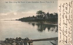 Drive along the Shore of Lake Champlain Postcard