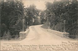 Central Avenue Entrance to Campus, Cornell University Postcard