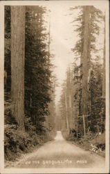 Snoqualmie pass Washington Postcard Postcard Postcard