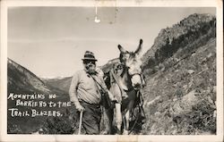 Mountains No Barriers to the Trail Blazers Donkeys Postcard Postcard Postcard