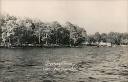 Greetings From Lake Waccamaw, NC North Carolina Postcard Postcard Postcard