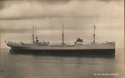 M. S. Nicoline Maersk Steamers Postcard Postcard Postcard