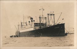 Southern Crown Ship at Sail Steamers Postcard Postcard Postcard