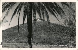 "A" Mountain Tucson, AZ Postcard Postcard Postcard