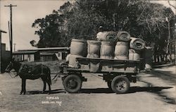 Tipicas Black and White Photograph Horse-pulled Cart Postcard