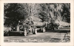 Trucks Hauling Logs in the Northwest Oregon Postcard Postcard Postcard