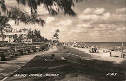 Cars and Sunbathers, Delray Beach Postcard