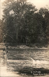 A 7 lb. Trout, Rogue River, Oregon Postcard Postcard Postcard