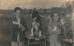 Spaniel on a Chair, Flanked by a Boy and Girl Holding Kittens Dogs Postcard Postcard Postcard