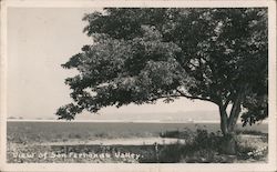 View of San Fernando Valley Postcard