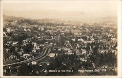 Homes in the Hills Postcard