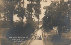 View from Veranda of Maitland Inn Florida Postcard Postcard Postcard