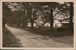 Oak Avenue, The Grove Postcard