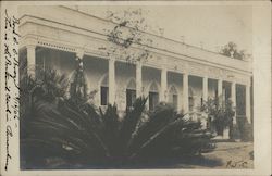 Botanical (?) Club São Paulo, Brazil Postcard Postcard Postcard