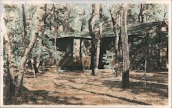 Hand Colored Rustic Cabin Buildings Postcard Postcard Postcard