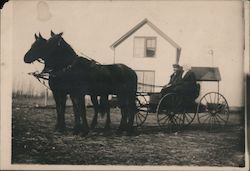 Couple with Horses, Buggy Postcard Postcard Postcard