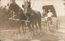 Couple with Horses & Buggy Postcard