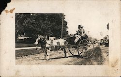 Uncle Sam in Parade Buggy Pulled by a Cow Wearing Fishnet Postcard