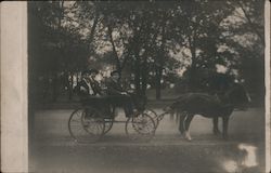 Three Young Men in a Horse-Drawn Buggy on Lakeshore Drive Chicago, IL Postcard Postcard Postcard