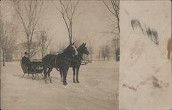 Horse-Drawn Sleigh Postcard