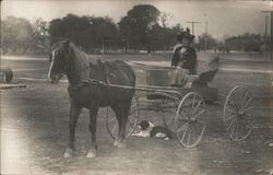 Woman in Horse Buggy Postcard