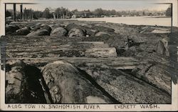 A Log Tow in Snohomish River Everett, WA Postcard Postcard Postcard