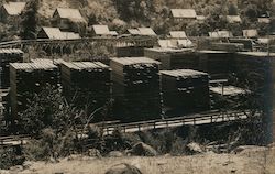 Lumber Yard Postcard