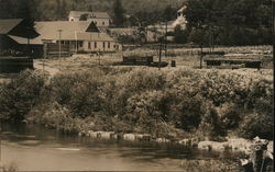 Railcars, Lumber by River Postcard