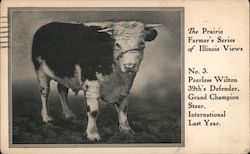 The Prairie Farmer's Series of Illinois Views, No.3 Peerless Wilton Postcard