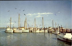 Tangier Island Virginia Postcard Postcard