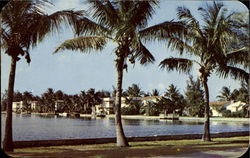 Island Homes Seen From East Las Olas Postcard