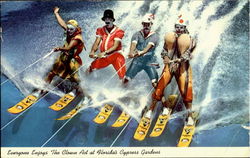 Everyone Enjoys The Clown Act , Florida's Cypress Gardens Postcard