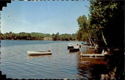 Great Lake From Crystal Spring Camps Belgrade Lakes, ME Postcard Postcard