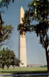 The Washington Monument District Of Columbia Washington DC Postcard Postcard