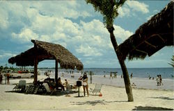 Siesta Key Beach Sarasota, FL Postcard Postcard