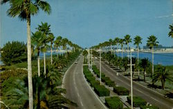 Memorial Causeway Clearwater Beach, FL Postcard Postcard