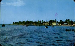 View To The Island Postcard